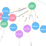 Sept (bonnes) raisons d’utiliser une Graph Database