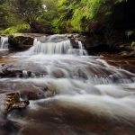 De weg richting kwantumresistente standaarden