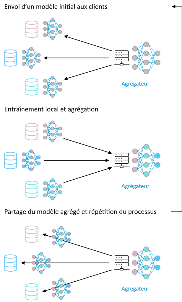 Exemple d’apprentissage fédéré centralisé : un serveur central orchestre l’apprentissage, permettant un protocole relativement simple. Dans le cas non-centralisé, les participants s’envoient des modèles partiels en pair-à-pair.